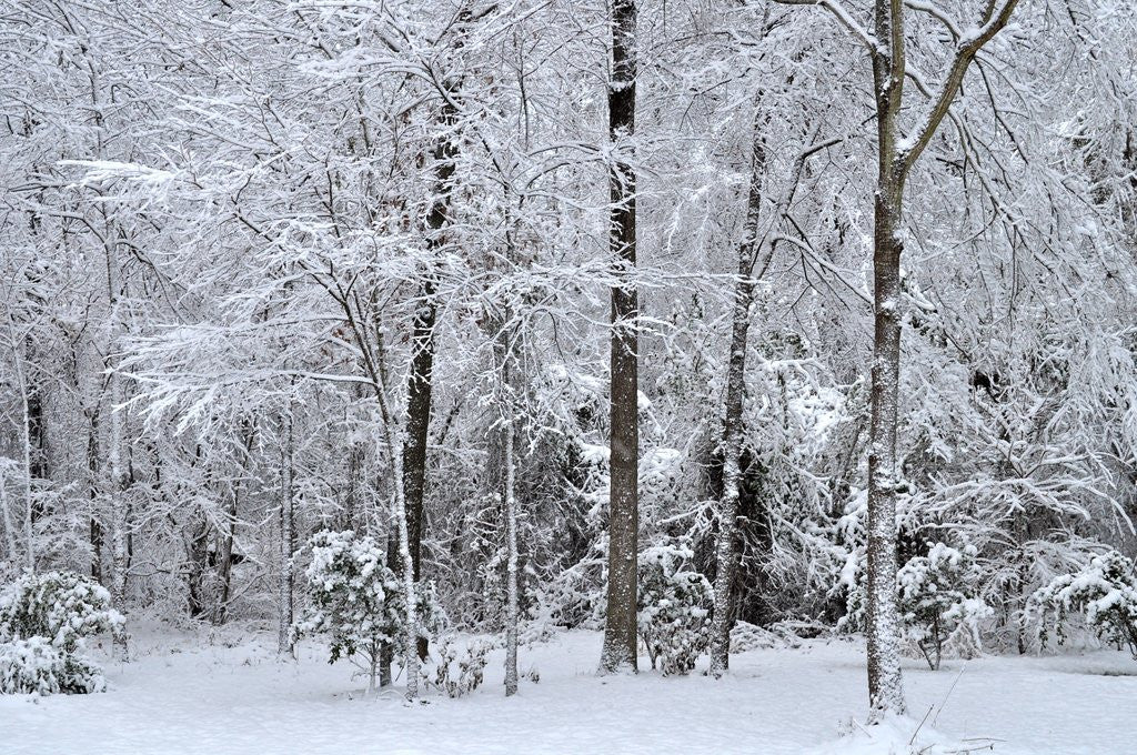 Five Ways to Stay Glowy in the Winter