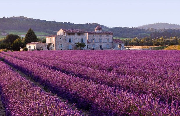 Grasse, Capitale mondiale du parfum