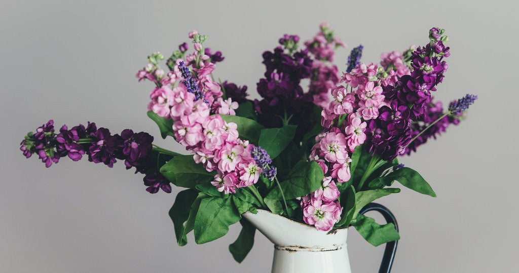 The Many Healing Powers of Lavender