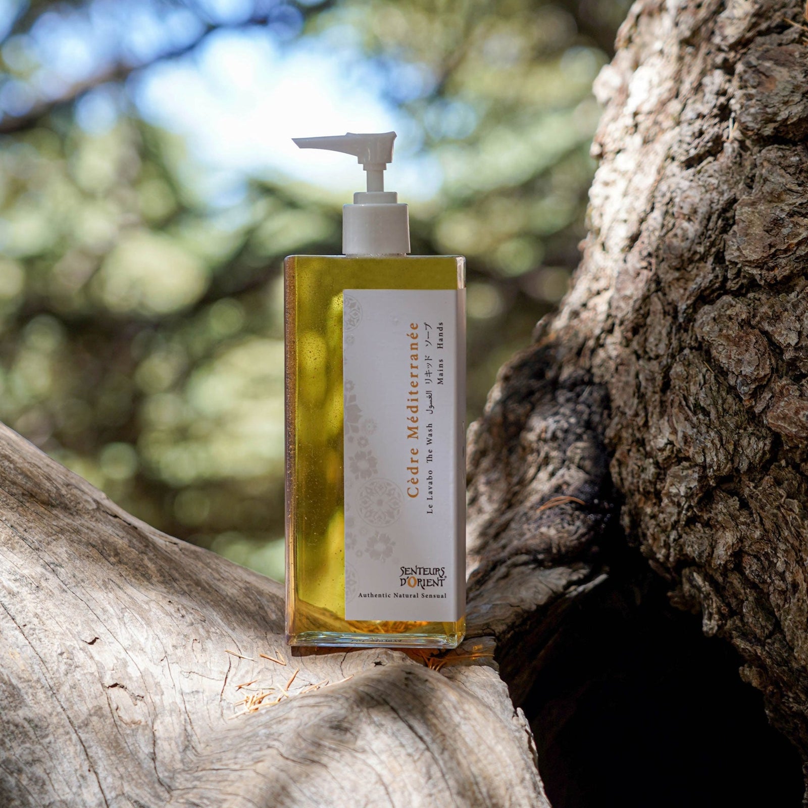 NEW! Cèdre Méditerranée Hand Wash